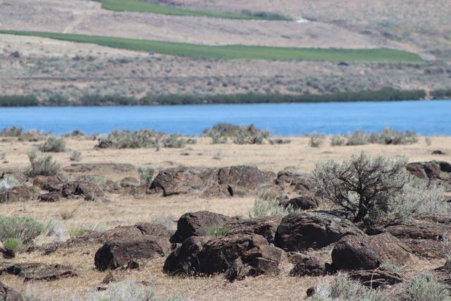 Rocks near the Columbia River at Six Mile Canyon